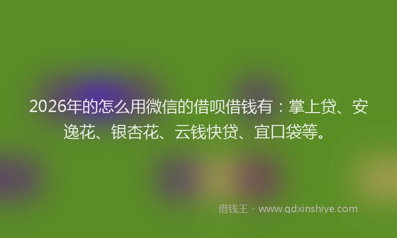 2026年的怎么用微信的借呗借钱有:掌上贷、安逸花、银杏花、云钱快贷、宜口袋等。
