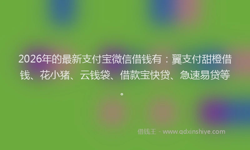 2026年的最新支付宝微信借钱有：翼支付甜橙借钱、花小猪、云钱袋、借款宝快贷、急速易贷等。