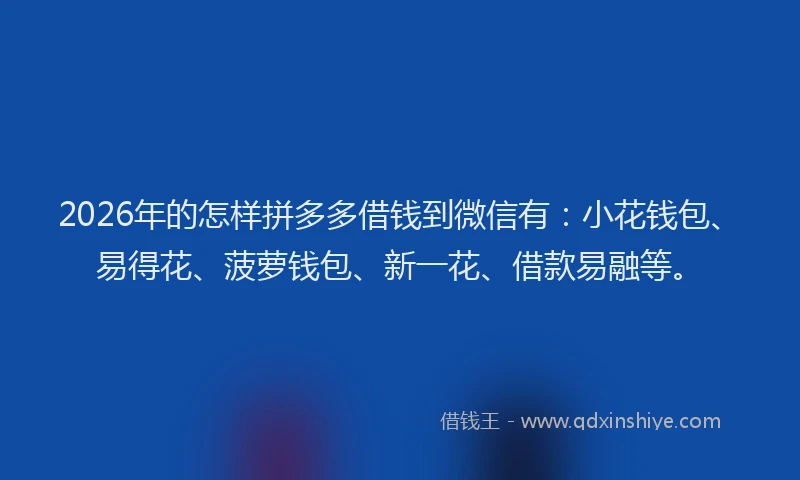 2026年的怎样拼多多借钱到微信有：小花钱包、易得花、菠萝钱包、新一花、借款易融等。