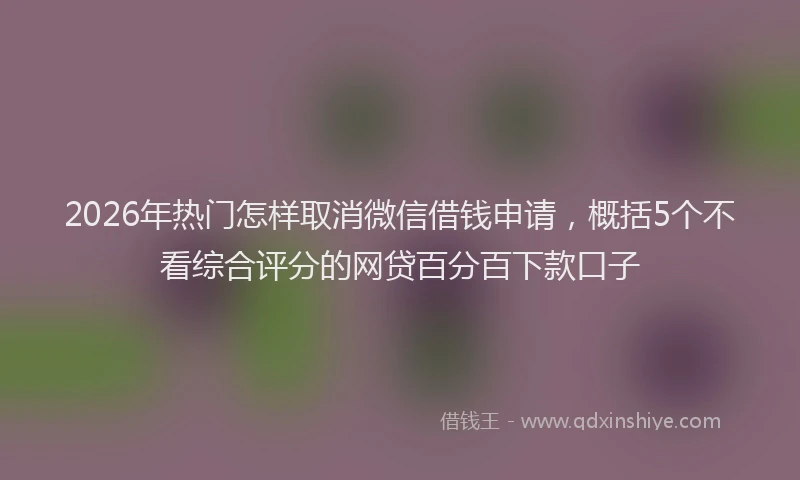 2026年热门怎样取消微信借钱申请，概括5个不看综合评分的网贷百分百下款口子