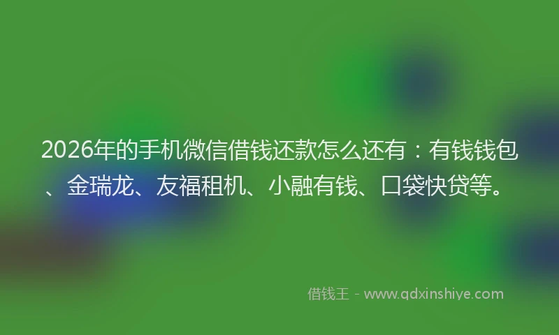 2026年的手机微信借钱还款怎么还有：有钱钱包、金瑞龙、友福租机、小融有钱、口袋快贷等。