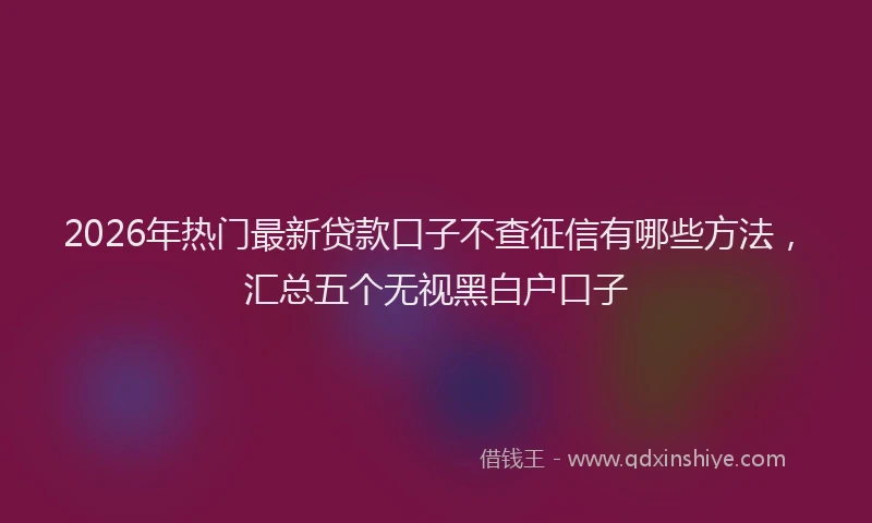 2026年热门最新贷款口子不查征信有哪些方法,汇总五个无视黑白户口子