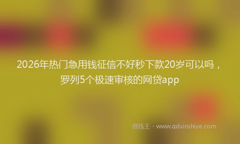 2026年热门急用钱征信不好秒下款20岁可以吗，罗列5个极速审核的网贷app