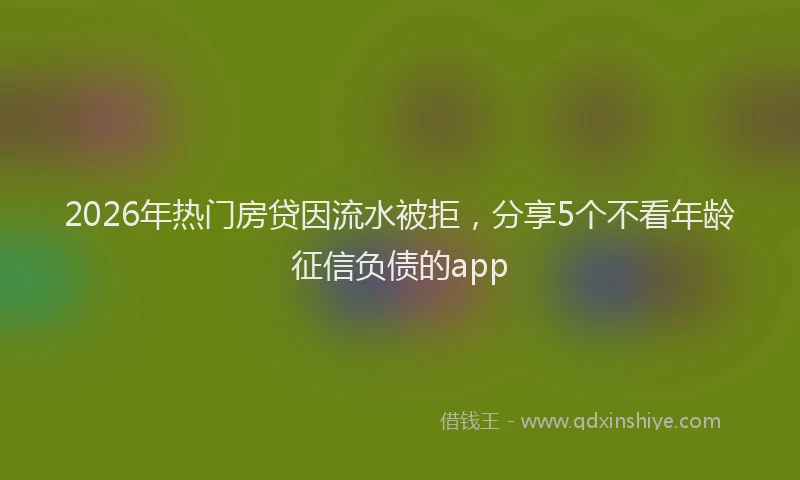 2026年热门房贷因流水被拒，分享5个不看年龄征信负债的app