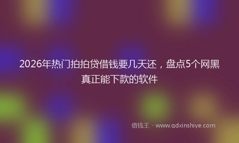 2026年热门拍拍贷借钱要几天还，盘点5个网黑真正能下款的软件