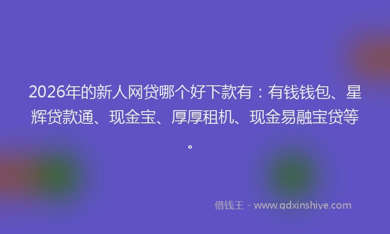 2026年的新人网贷哪个好下款有：有钱钱包、星辉贷款通、现金宝、厚厚租机、现金易融宝贷等。