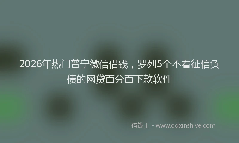 2026年热门普宁微信借钱，罗列5个不看征信负债的网贷百分百下款软件