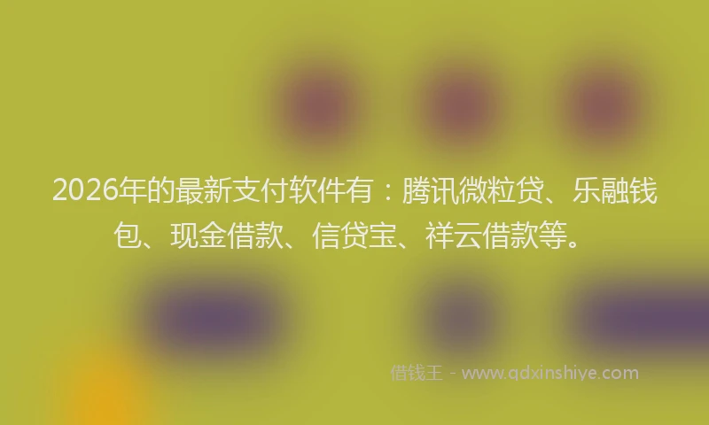 2026年的最新支付软件有：腾讯微粒贷、乐融钱包、现金借款、信贷宝、祥云借款等。
