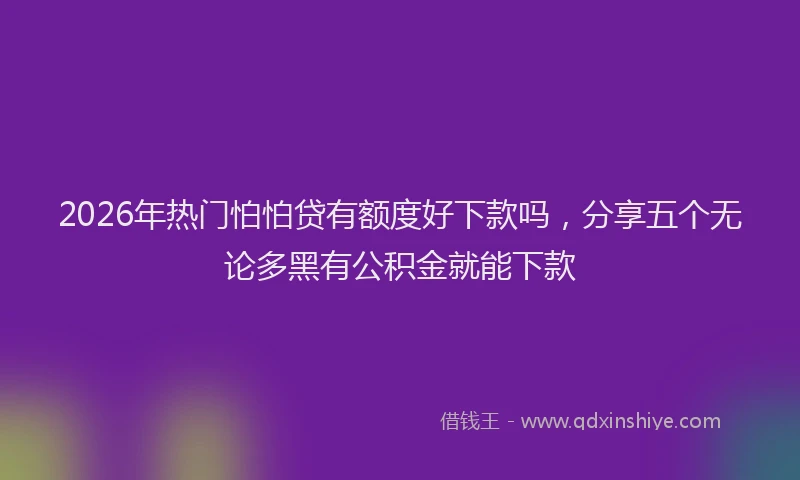 2026年热门怕怕贷有额度好下款吗，分享五个无论多黑有公积金就能下款