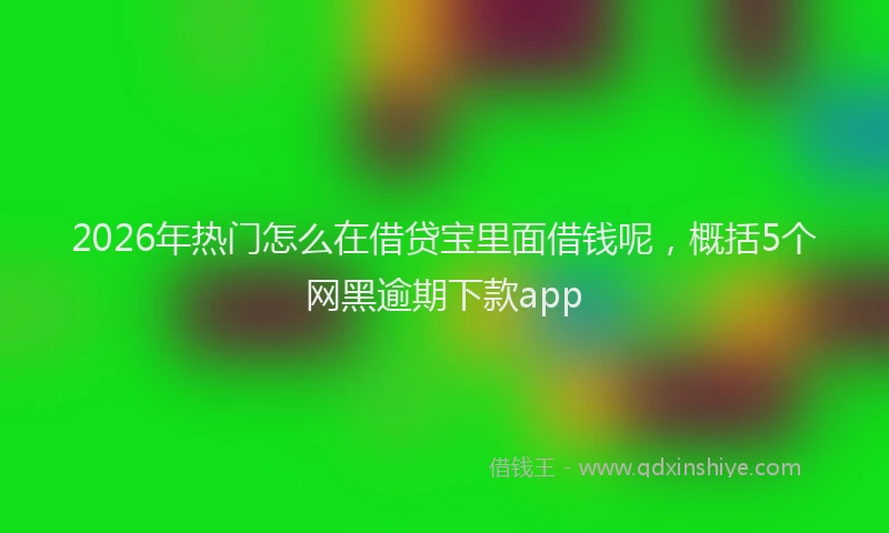 2026年热门怎么在借贷宝里面借钱呢，概括5个网黑逾期下款app