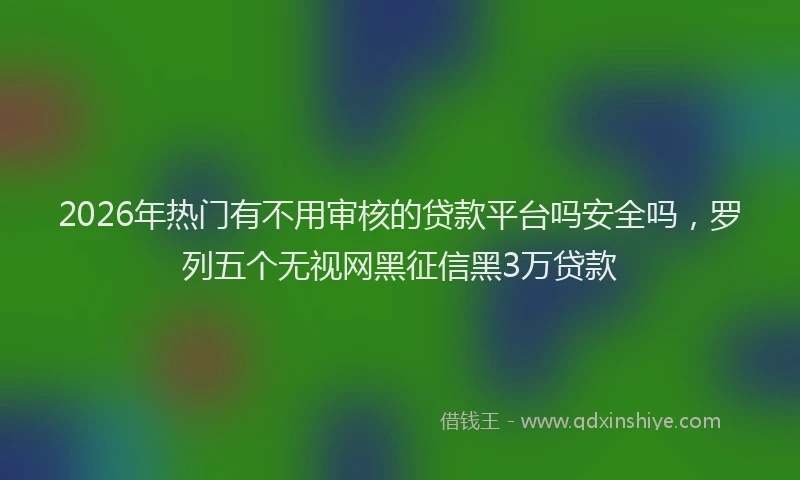 2026年热门有不用审核的贷款平台吗安全吗，罗列五个无视网黑征信黑3万贷款