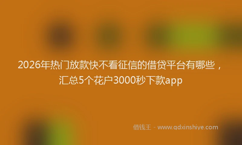 2026年热门放款快不看征信的借贷平台有哪些，汇总5个花户3000秒下款app