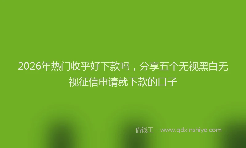 2026年热门收乎好下款吗，分享五个无视黑白无视征信申请就下款的口子