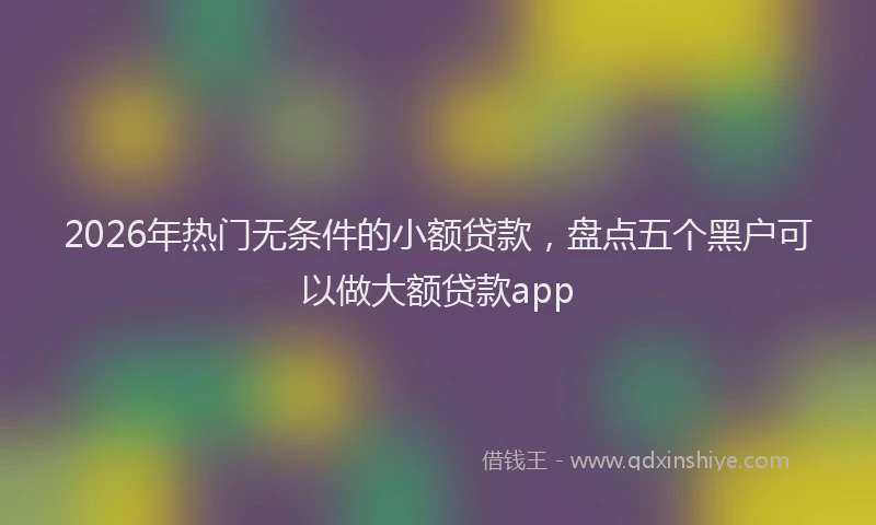 2026年热门无条件的小额贷款，盘点五个黑户可以做大额贷款app