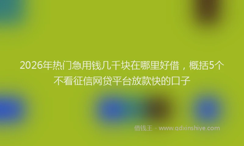 2026年热门急用钱几千块在哪里好借，概括5个不看征信网贷平台放款快的口子