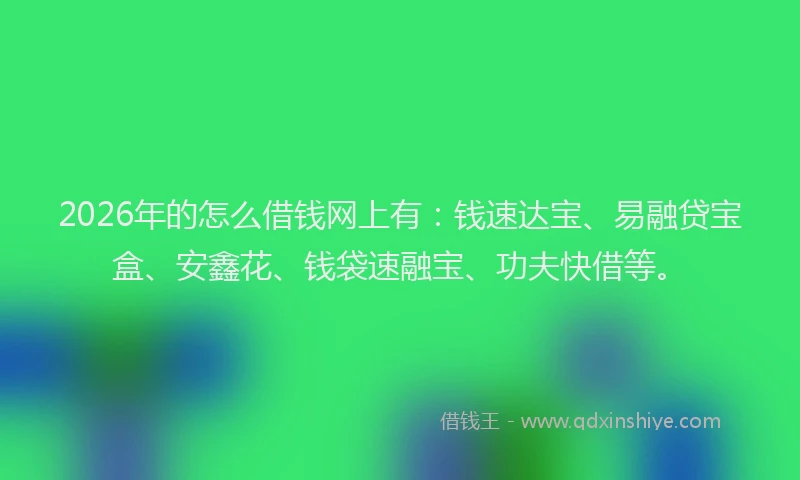 2026年的怎么借钱网上有：钱速达宝、易融贷宝盒、安鑫花、钱袋速融宝、功夫快借等。