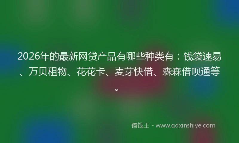 2026年的最新网贷产品有哪些种类有：钱袋速易、万贝租物、花花卡、麦芽快借、森森借呗通等。