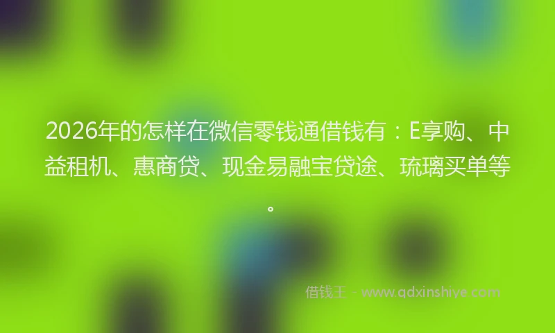 2026年的怎样在微信零钱通借钱有:E享购、中益租机、惠商贷、现金易融宝贷途、琉璃买单等。