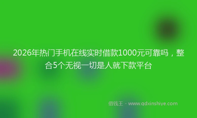 2026年热门手机在线实时借款1000元可靠吗，整合5个无视一切是人就下款平台