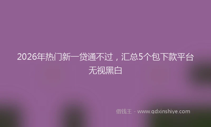 2026年热门新一贷通不过，汇总5个包下款平台无视黑白