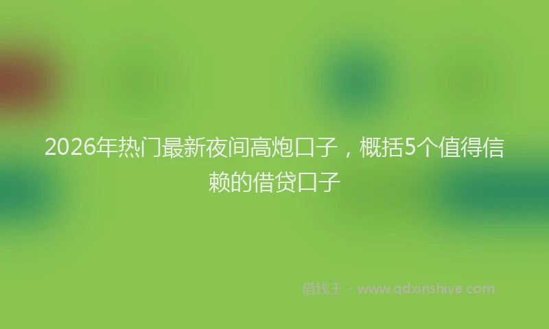 2026年热门最新夜间高炮口子，概括5个值得信赖的借贷口子