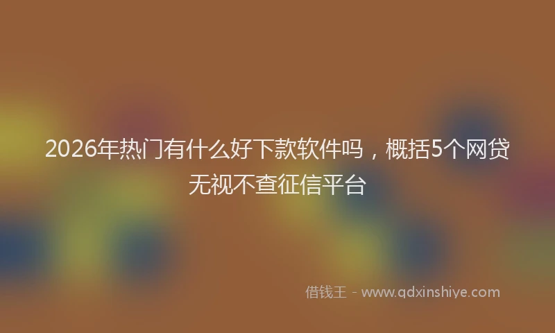 2026年热门有什么好下款软件吗，概括5个网贷无视不查征信平台