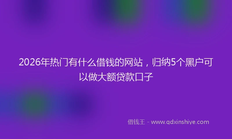 2026年热门有什么借钱的网站，归纳5个黑户可以做大额贷款口子