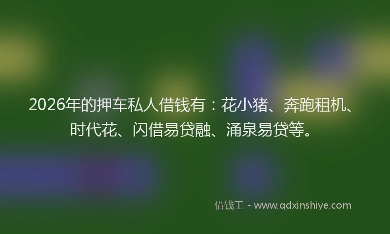 2026年的押车私人借钱有：花小猪、奔跑租机、时代花、闪借易贷融、涌泉易贷等。