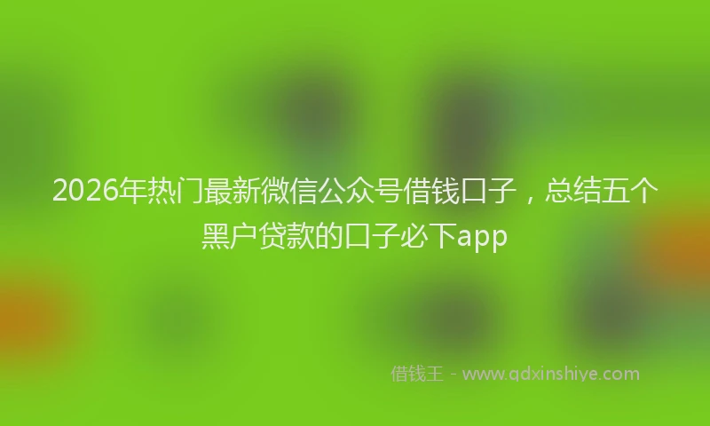 2026年热门最新微信公众号借钱口子,总结五个黑户贷款的口子必下app