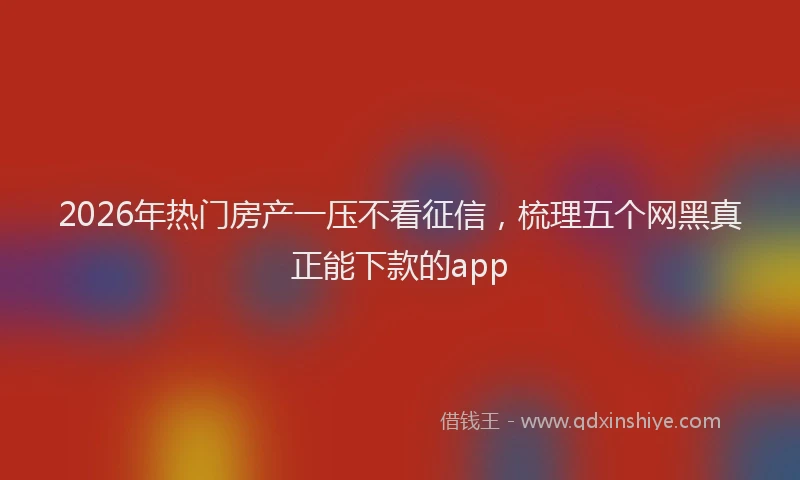 2026年热门房产一压不看征信,梳理五个网黑真正能下款的app