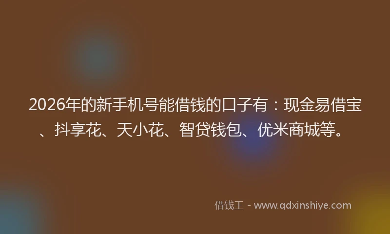 2026年的新手机号能借钱的口子有：现金易借宝、抖享花、天小花、智贷钱包、优米商城等。