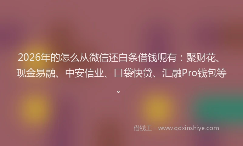 2026年的怎么从微信还白条借钱呢有：聚财花、现金易融、中安信业、口袋快贷、汇融Pro钱包等。