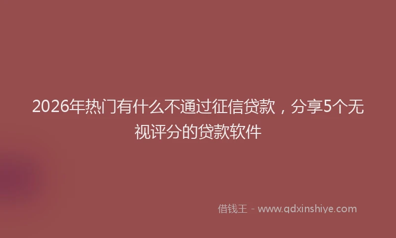 2026年热门有什么不通过征信贷款，分享5个无视评分的贷款软件