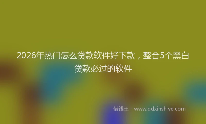 2026年热门怎么贷款软件好下款，整合5个黑白贷款必过的软件