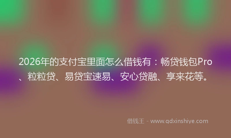 2026年的支付宝里面怎么借钱有：畅贷钱包Pro、粒粒贷、易贷宝速易、安心贷融、享来花等。