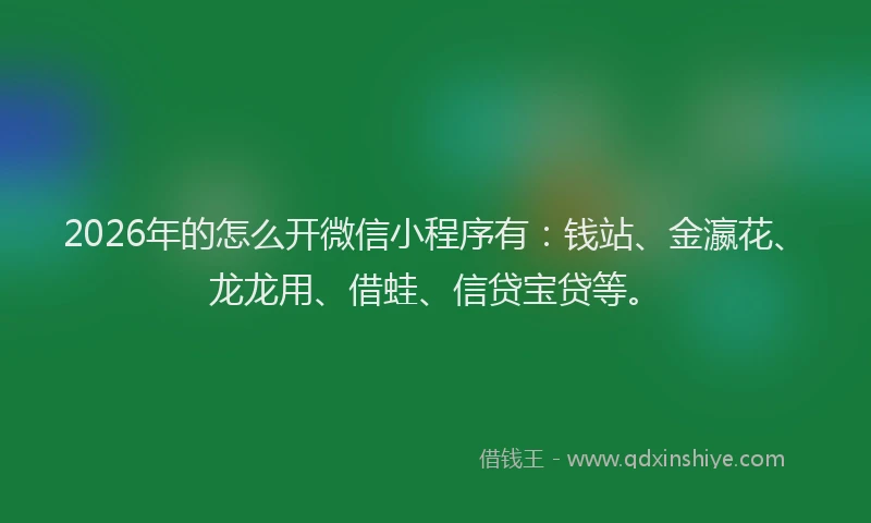 2026年的怎么开微信小程序有：钱站、金瀛花、龙龙用、借蛙、信贷宝贷等。