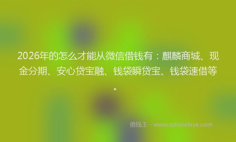 2026年的怎么才能从微信借钱有：麒麟商城、现金分期、安心贷宝融、钱袋瞬贷宝、钱袋速借等。