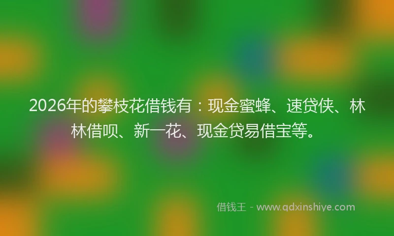 2026年的攀枝花借钱有:现金蜜蜂、速贷侠、林林借呗、新一花、现金贷易借宝等。
