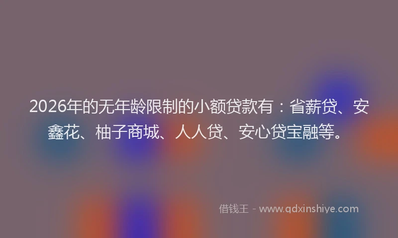 2026年的无年龄限制的小额贷款有：省薪贷、安鑫花、柚子商城、人人贷、安心贷宝融等。