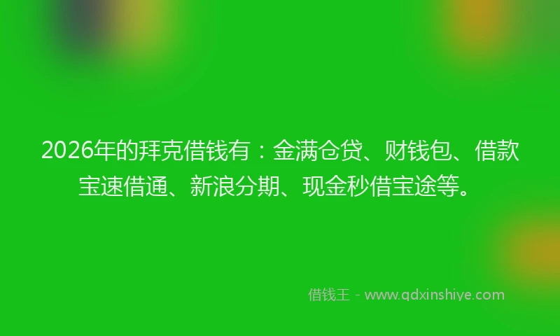 2026年的拜克借钱有：金满仓贷、财钱包、借款宝速借通、新浪分期、现金秒借宝途等。