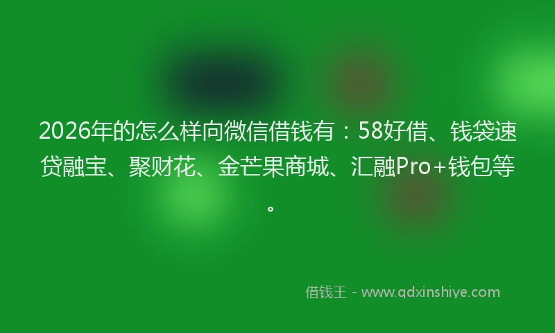 2026年的怎么样向微信借钱有：58好借、钱袋速贷融宝、聚财花、金芒果商城、汇融Pro+钱包等。