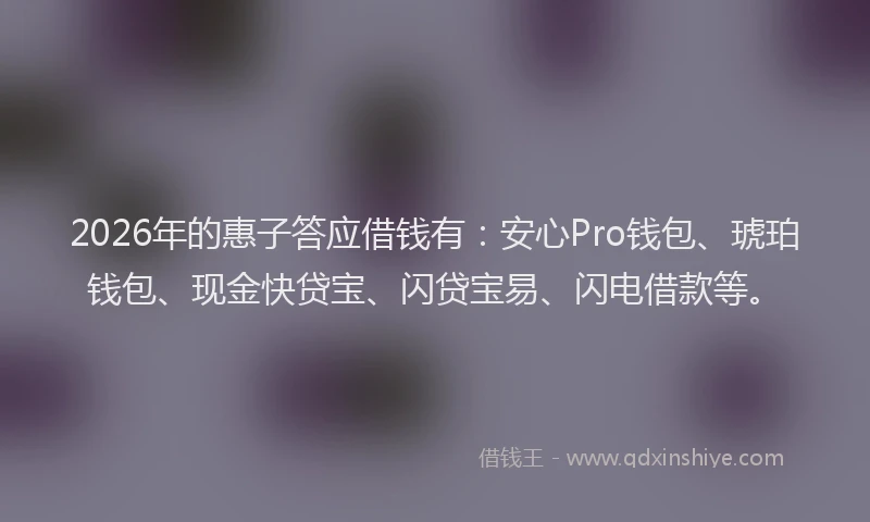 2026年的惠子答应借钱有：安心Pro钱包、琥珀钱包、现金快贷宝、闪贷宝易、闪电借款等。