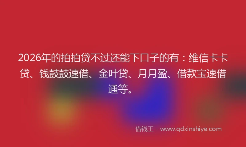 2026年的拍拍贷不过还能下口子的有：维信卡卡贷、钱鼓鼓速借、金叶贷、月月盈、借款宝速借通等。
