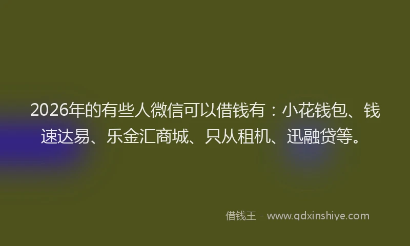 2026年的有些人微信可以借钱有：小花钱包、钱速达易、乐金汇商城、只从租机、迅融贷等。