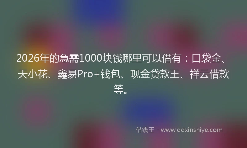 2026年的急需1000块钱哪里可以借有：口袋金、天小花、鑫易Pro+钱包、现金贷款王、祥云借款等。