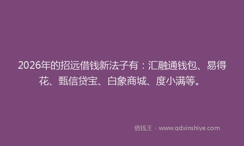 2026年的招远借钱新法子有：汇融通钱包、易得花、甄信贷宝、白象商城、度小满等。