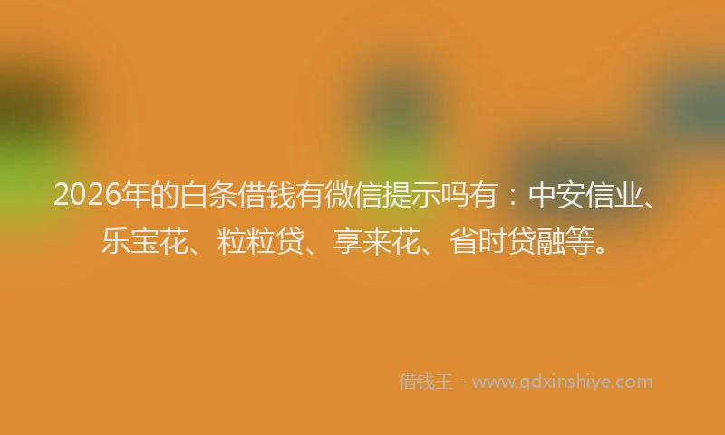 2026年的白条借钱有微信提示吗有：中安信业、乐宝花、粒粒贷、享来花、省时贷融等。