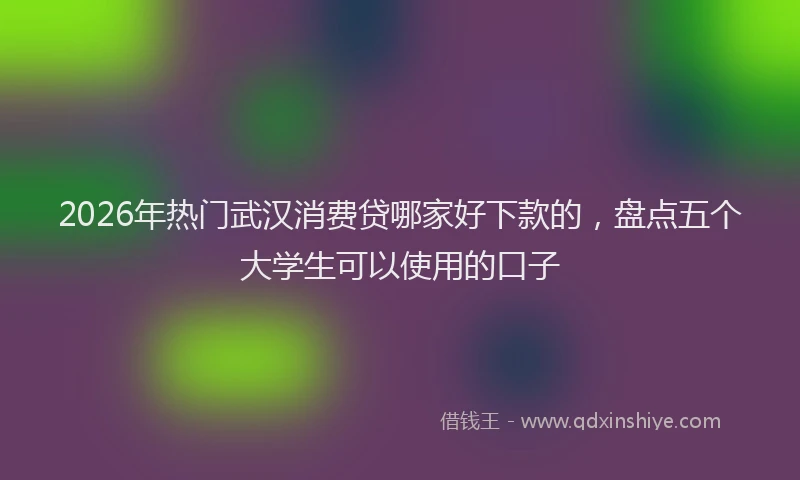 2026年热门武汉消费贷哪家好下款的，盘点五个大学生可以使用的口子