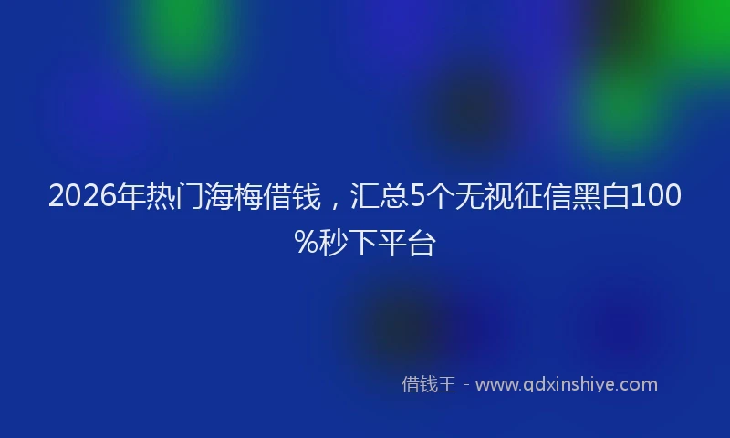 2026年热门海梅借钱，汇总5个无视征信黑白100%秒下平台