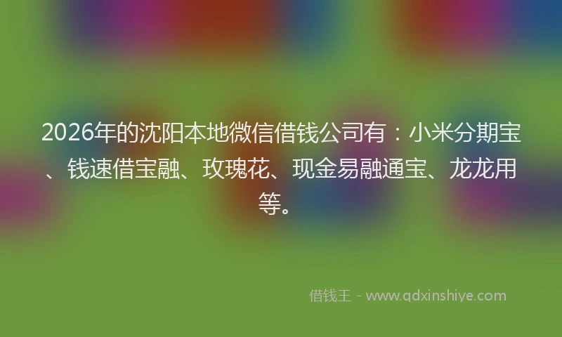 2026年的沈阳本地微信借钱公司有:小米分期宝、钱速借宝融、玫瑰花、现金易融通宝、龙龙用等。